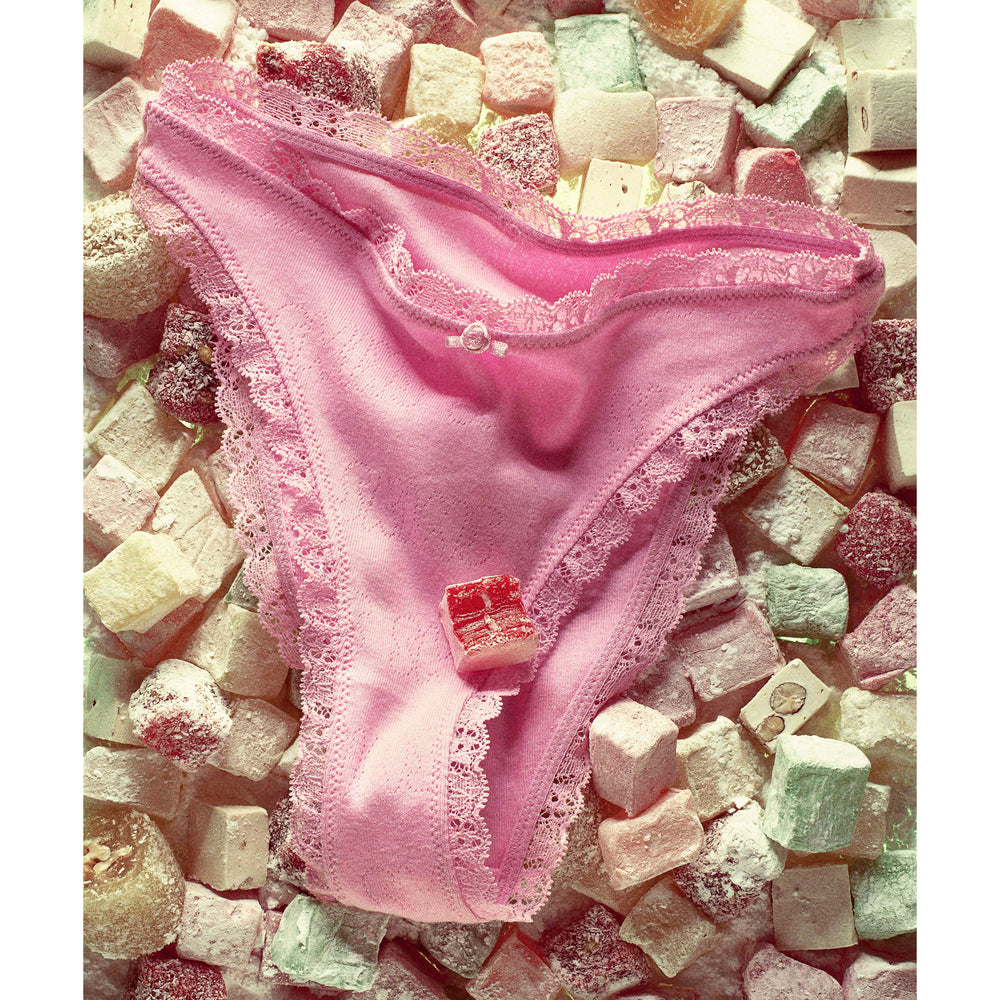 Skims LACE POINTELLE CHEEKY Brief Bubble Gum | 1867DIYLE